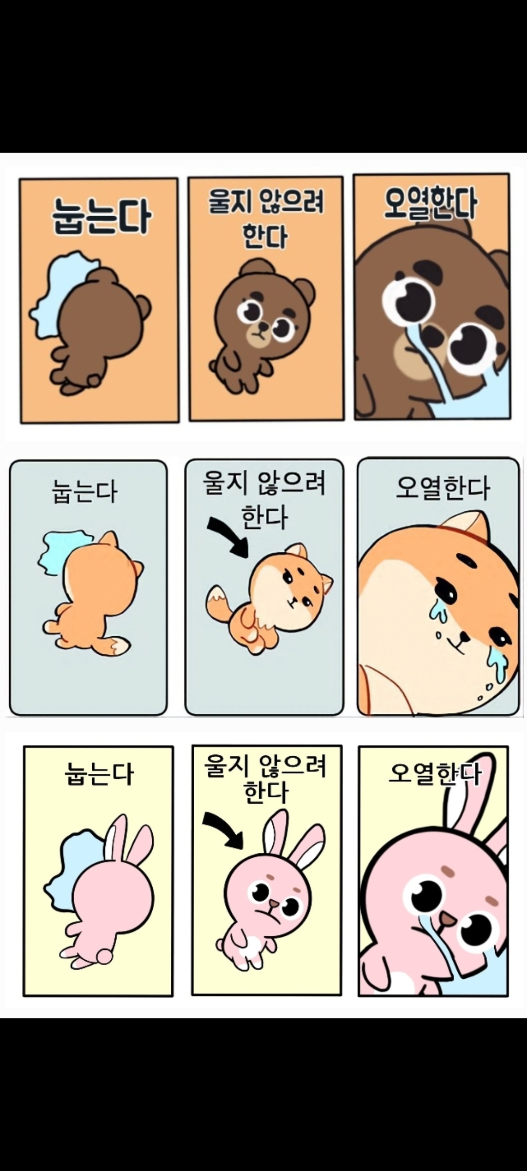 [잡담] 이 짤 돈 버전 있는 사람?? | 인스티즈