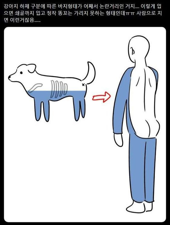 [잡담] 강아지 상체 하체 구분 어떻게 생각해? | 인스티즈