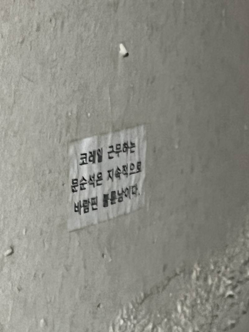 [잡담] 문석순씨 뭐하는 사람일까.. | 인스티즈