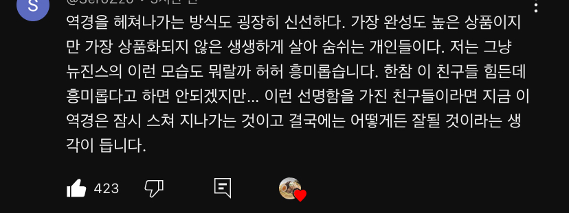 [잡담] 이거 뉴진스 관련 댓글인데 뭔가 공감됨 | 인스티즈