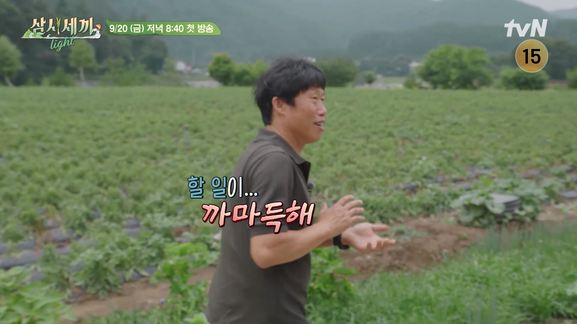 [잡담] 차승원x유해진 삼시세끼 Light 1화 예고(feat.임영웅) | 인스티즈