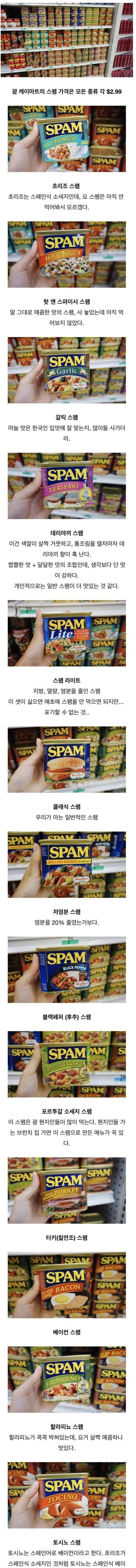 한국인은 잘 모르는 스팸 종류.jpg | 인스티즈