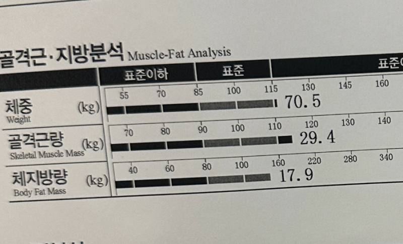 [잡담] 내 인바디 봐줄 사람 .. | 인스티즈