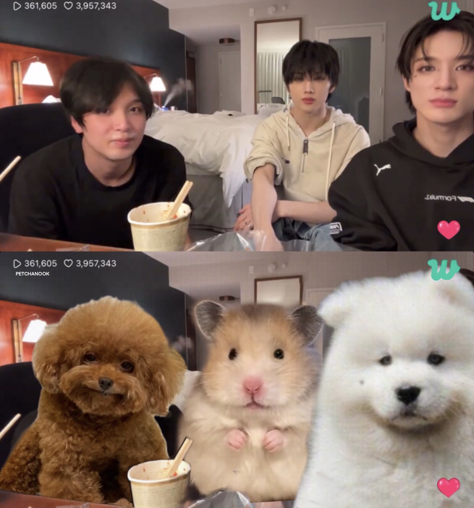 [잡담] 드림 모에화 귀요미🐻🐹🐶 | 인스티즈