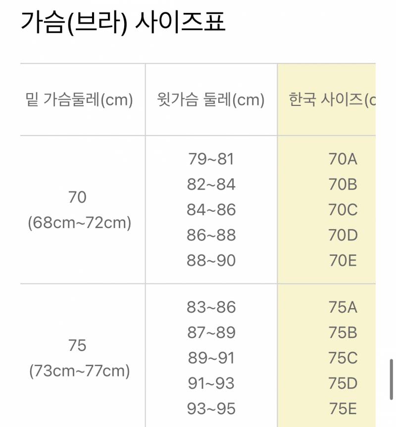 [잡담] 브라 사이즈 봐줄 익인!!!?!?! | 인스티즈