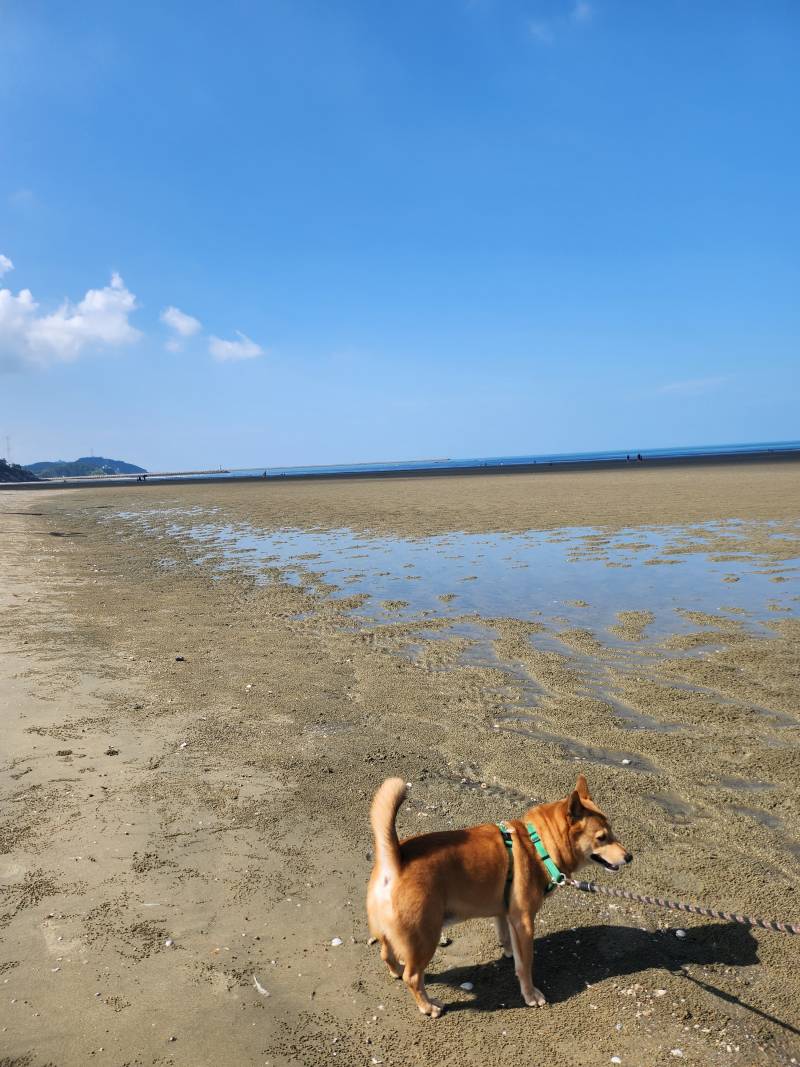 [잡담] 오늘 고창 갔다가 더워죽을뻔 | 인스티즈