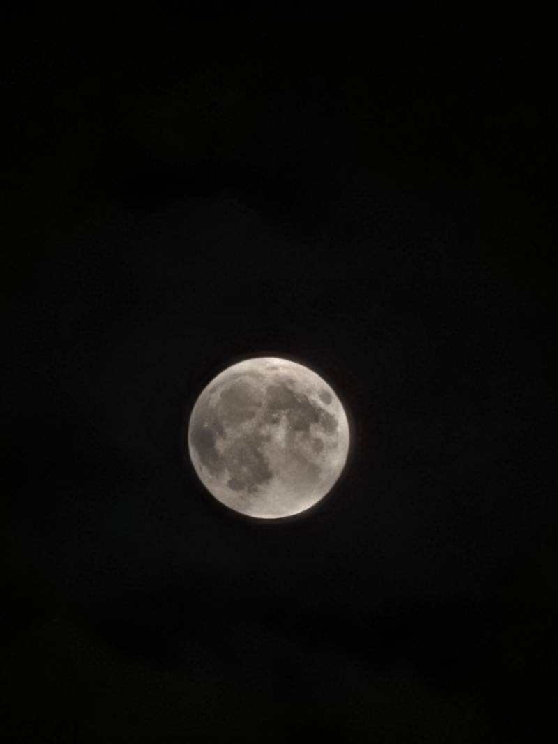 [잡담] 실시간 구르미 그린 달빛 🌚 🌕 | 인스티즈