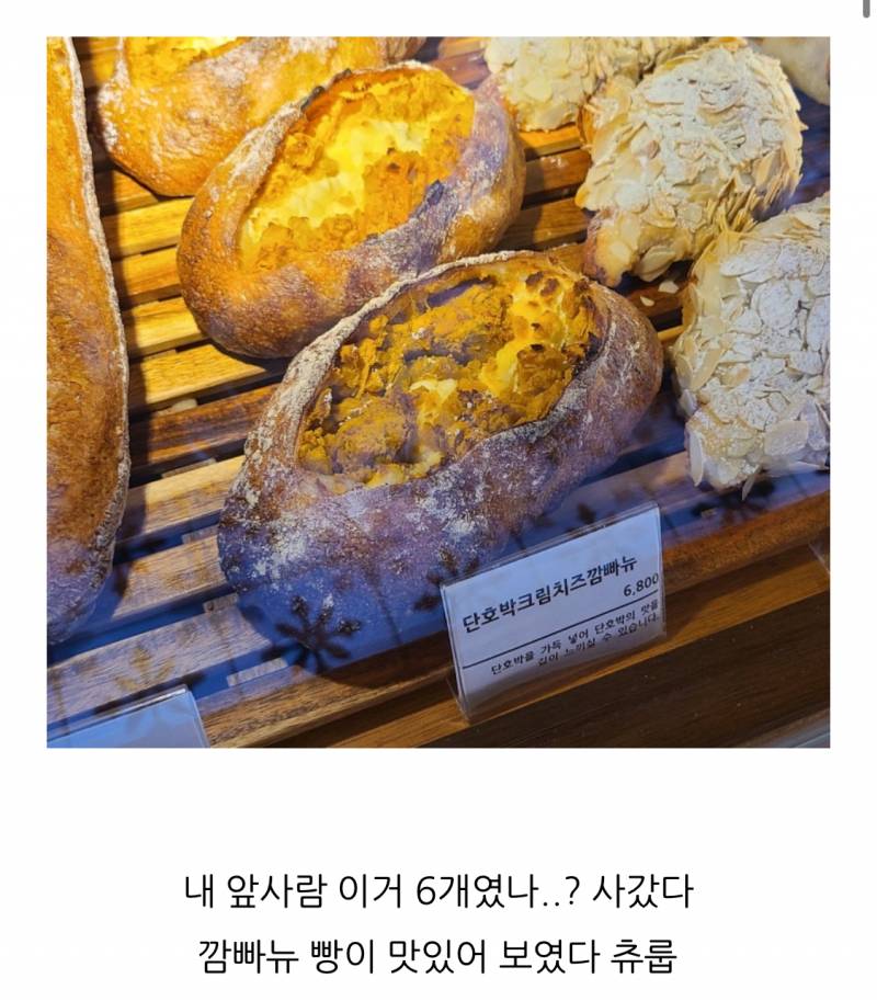 [잡담] 맛잘알들아 단호박크림치즈깜빠뉴vs 크림치즈무화과바게트 | 인스티즈