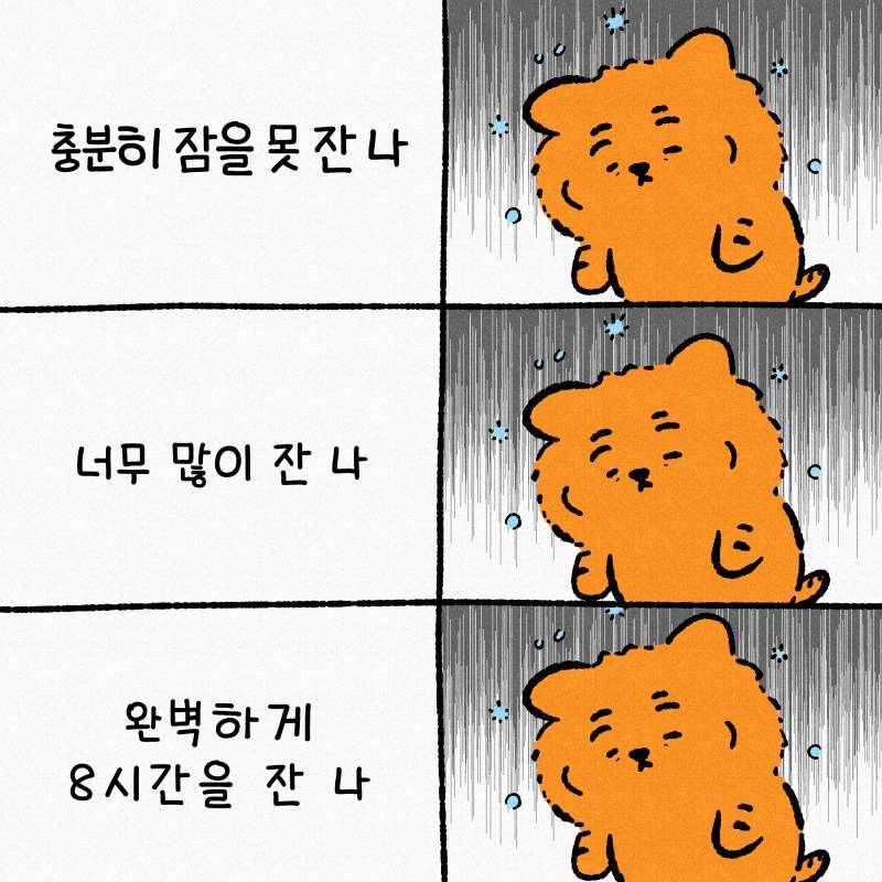 밤샘 무지🐯 | 인스티즈