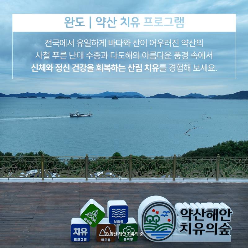 숲속 힐링여행 전남 산림치유 프로그램 추천.jpg | 인스티즈