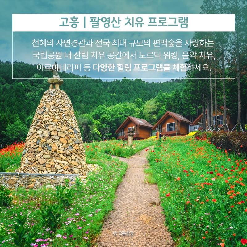 숲속 힐링여행 전남 산림치유 프로그램 추천.jpg | 인스티즈