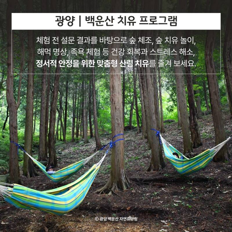 숲속 힐링여행 전남 산림치유 프로그램 추천.jpg | 인스티즈