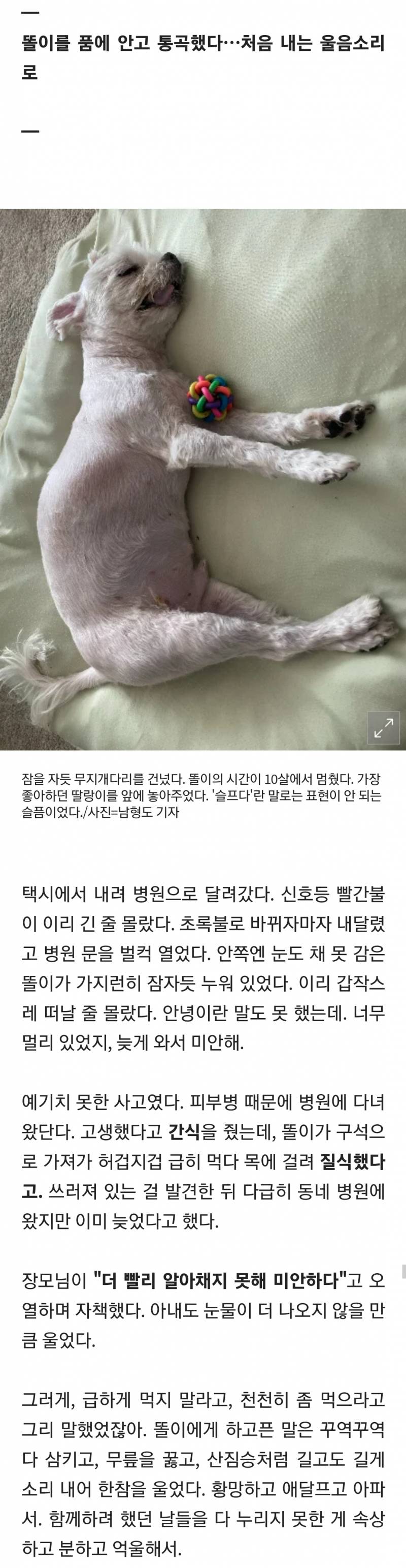 [잡담] 오열주의))오늘 보고 눈물콧물 다 쏟은 기사...ㅠㅠㅠㅠ | 인스티즈