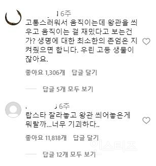 인스타에서 너무하다고 난리 난 랍스터 식당 | 인스티즈