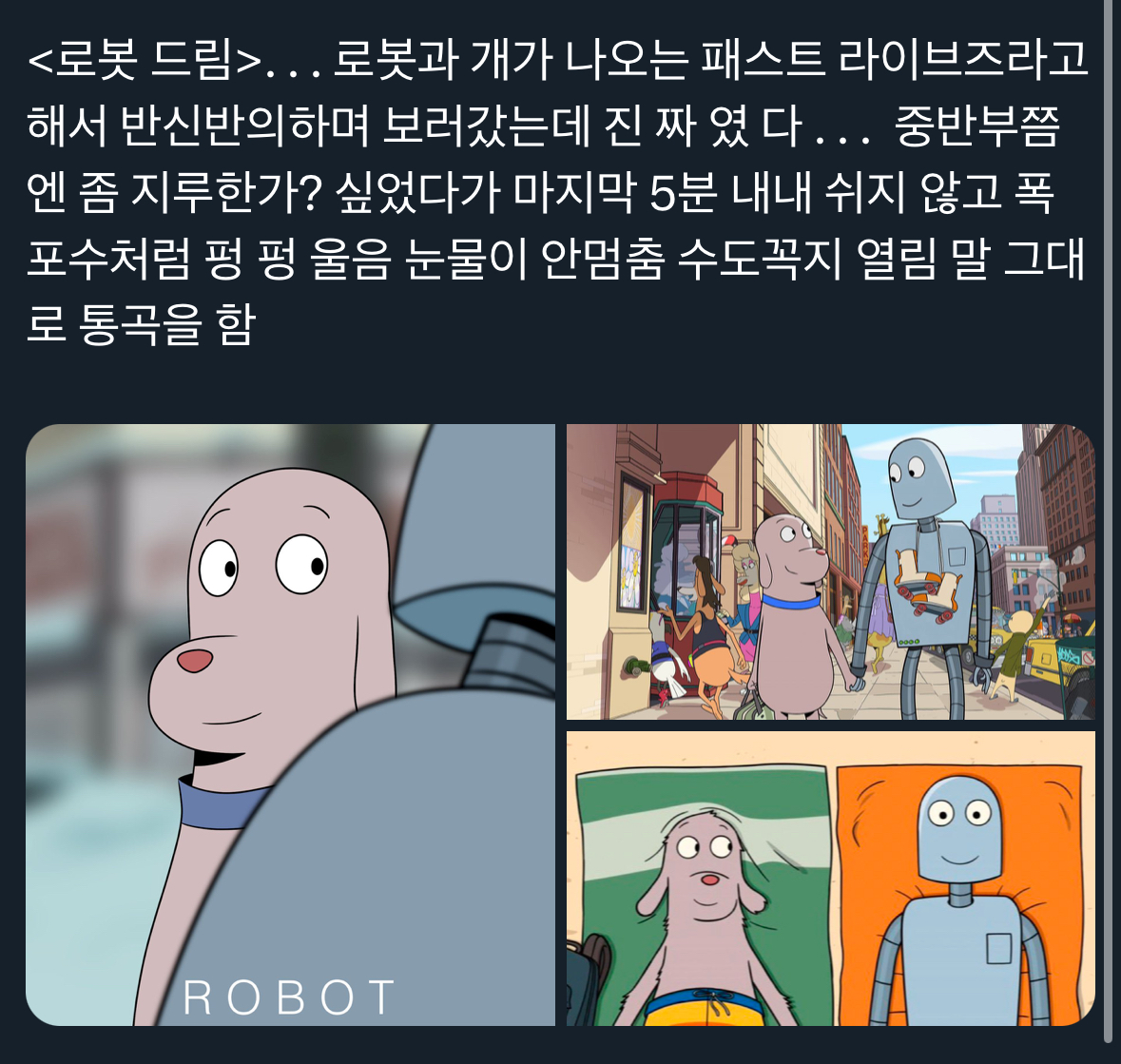 [잡담] 패스트 라이브즈 별로 안 맞았으면 로봇드림도 재미없을까?? | 인스티즈