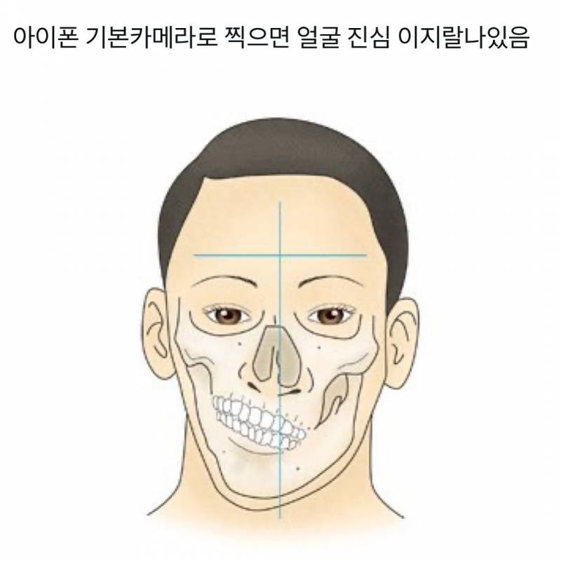 [잡담] 오잉 다들 이렇게 비틀어져서 나와? | 인스티즈