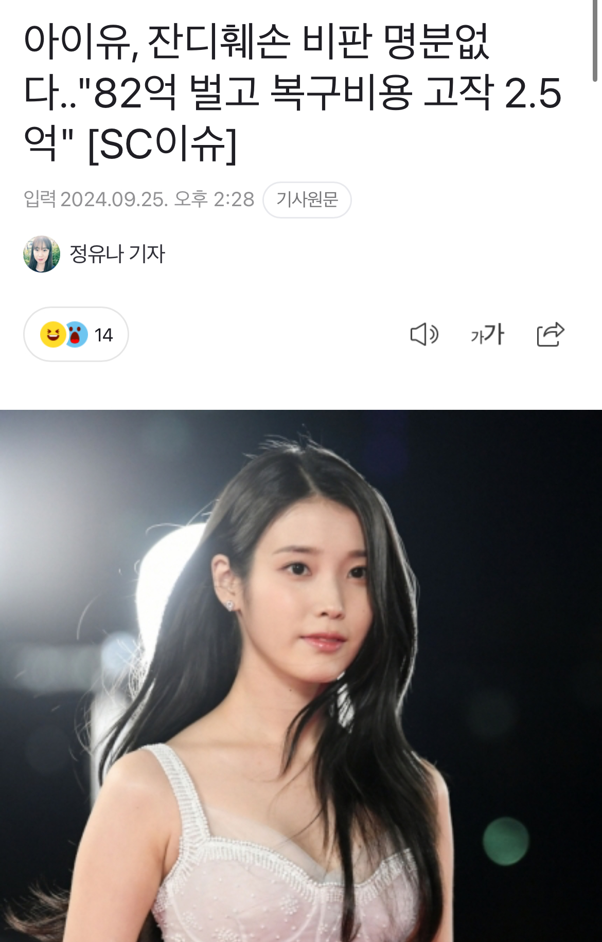 [정보/소식] 아이유, 잔디훼손 비판 명분없다.."82억 벌고 복구비용 고작 2.5억" [SC이슈] | 인스티즈