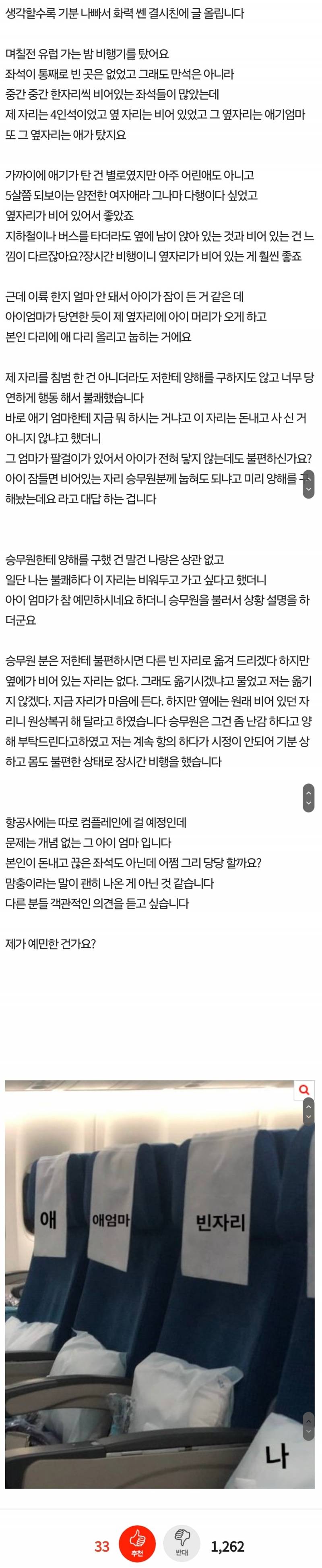 비행기 빈자리에 아기 눕혀서 항의했다는 판글 상대방 본인등판 | 인스티즈