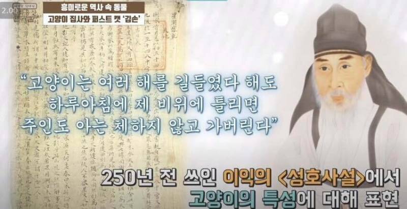 고양이에게 서운했던 조선시대 실학자 | 인스티즈