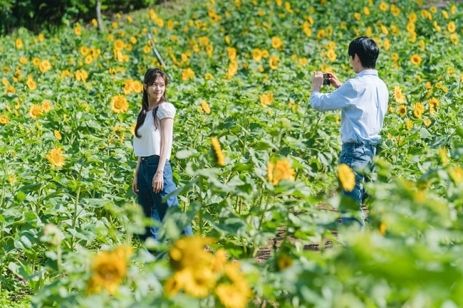 [정보/소식] 정해인♥정소민 쌍방 진심 확인 해바라기 꽃밭 키스신 비하인드 공개 ('엄마친구아들') | 인스티즈