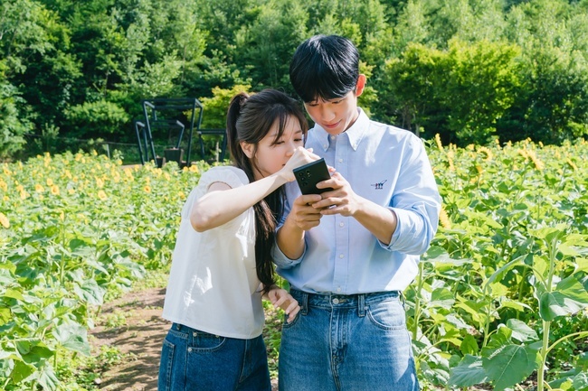 [정보/소식] 정해인♥정소민 쌍방 진심 확인 해바라기 꽃밭 키스신 비하인드 공개 ('엄마친구아들') | 인스티즈