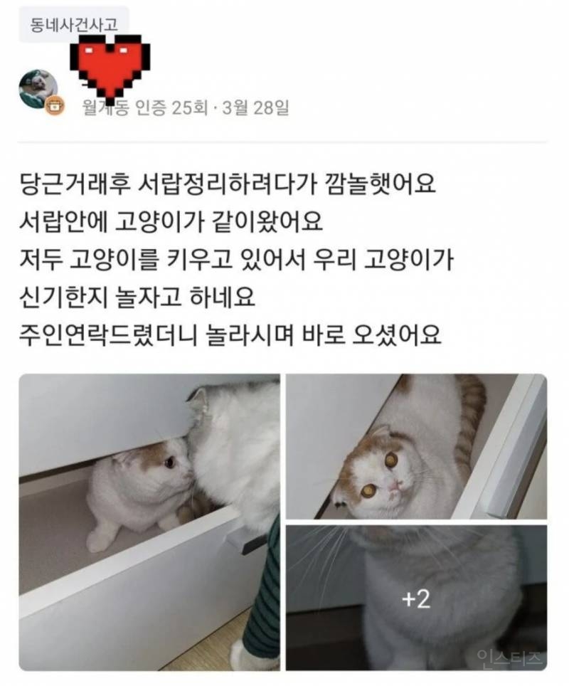 당근마켓으로 딸려온 충격적인 정체... | 인스티즈