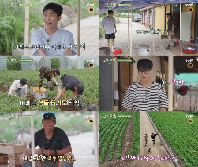 [정보/소식] 임영웅 예외없네, 차승원♥유해진 서라운드 잔소리 (삼시세끼) | 인스티즈