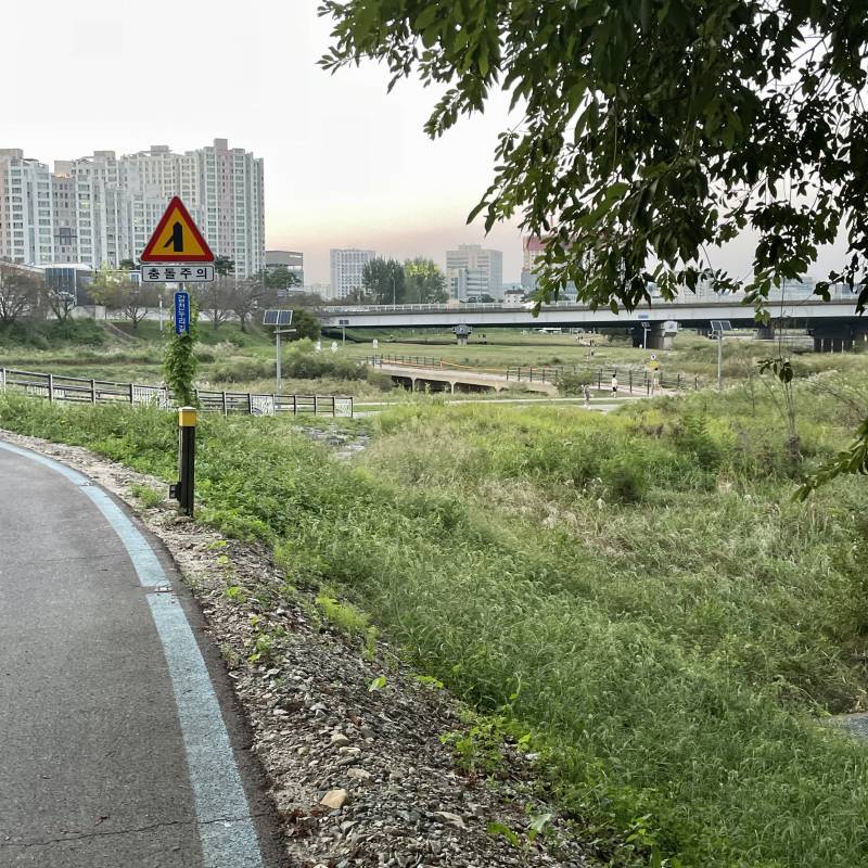 [잡담] 자전거 타구 퇴근😆🚲🌆 | 인스티즈