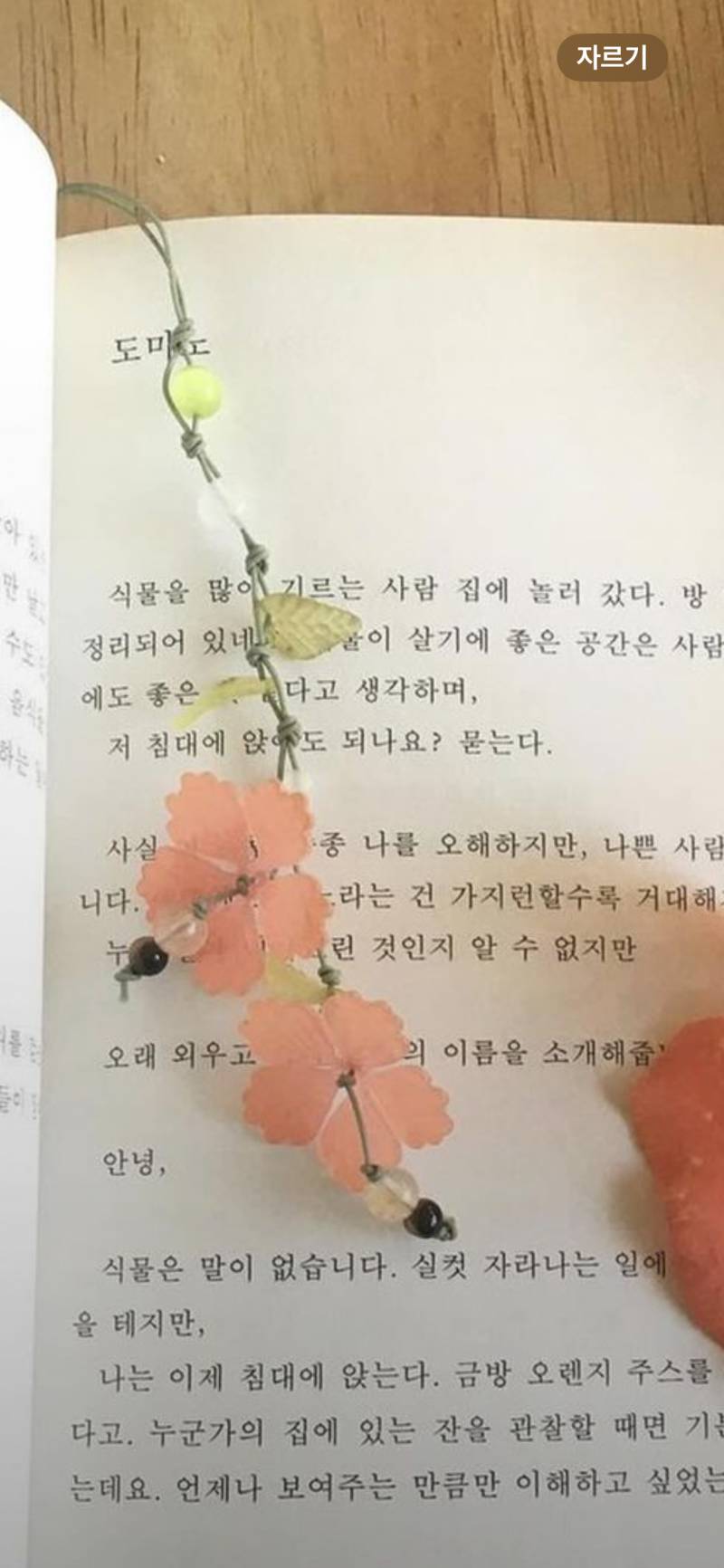 [잡담] 책갈피 샀당 이뿌지 | 인스티즈