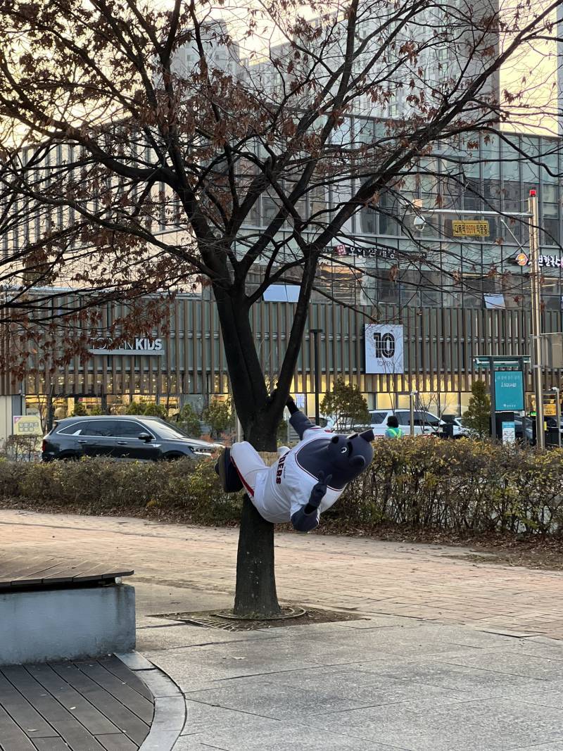 [잡담] 나.나나ㅡ는.오늘 야없날인데..왜.왜이럿케 떨도있나요 | 인스티즈