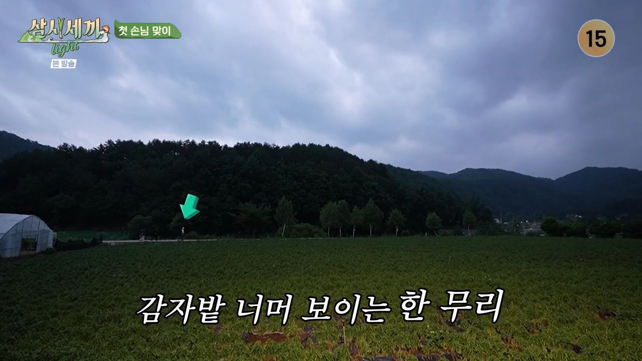 [잡담] 어제 미리 답사 와봤다는 임영웅에게 차승원이 한 말(삼시세끼) | 인스티즈