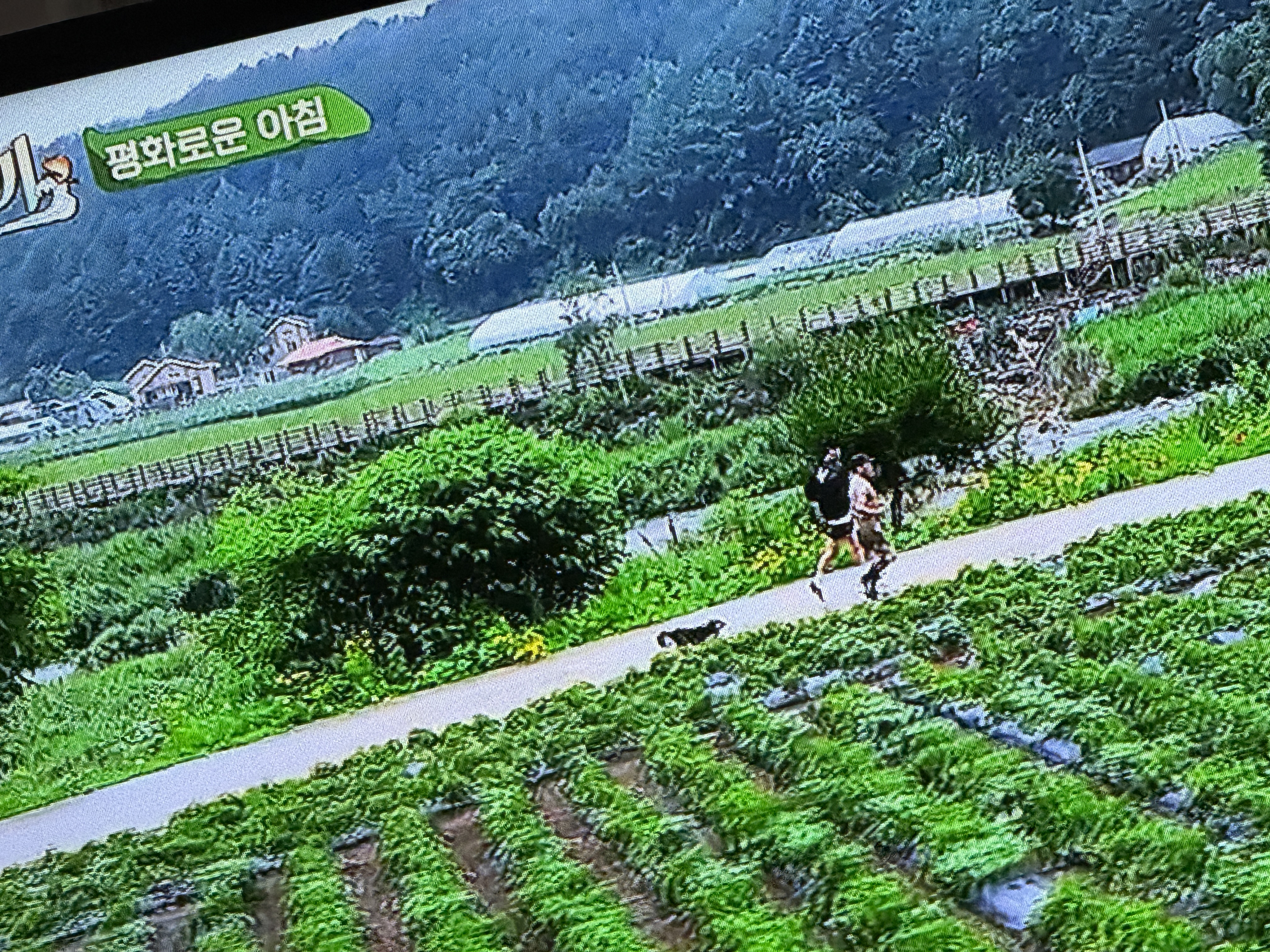 [잡담] 삼시세끼 라이트 봇구 ㅋㅌㅌㅋㅌㅌㅌㅌㅌㅌ | 인스티즈