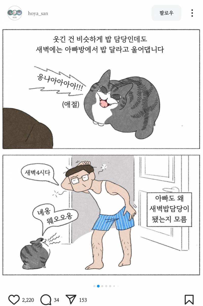 [잡담] 와 고양이 이거 우리집만 이런거 아니였구나 | 인스티즈