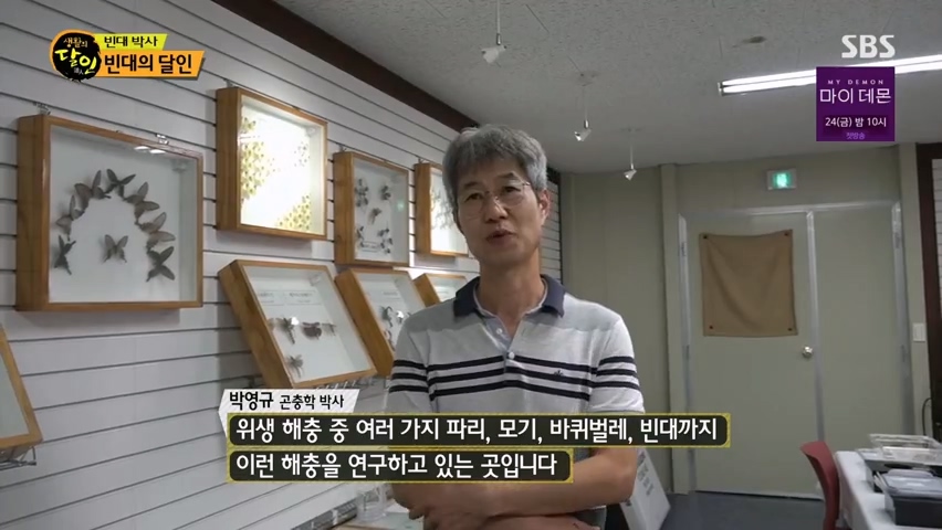 혐) 빈대가 죽는 온도 등 빈대 퇴치법 알려주는 빈대의 달인 | 인스티즈