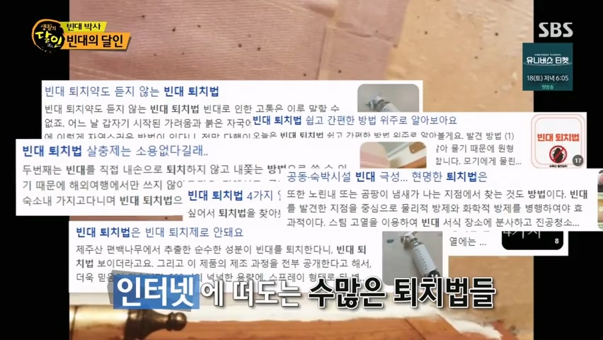 혐) 빈대가 죽는 온도 등 빈대 퇴치법 알려주는 빈대의 달인 | 인스티즈