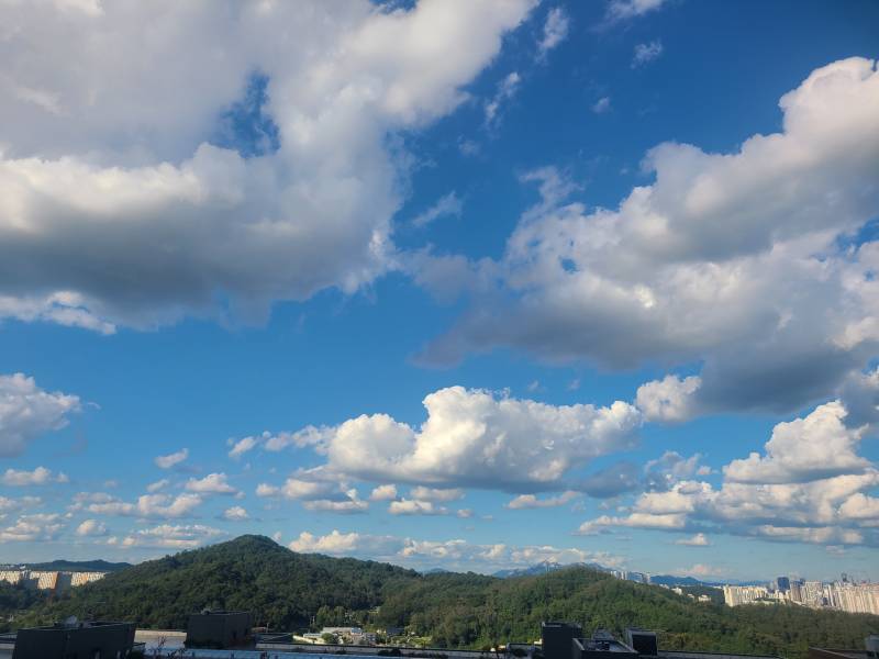 [잡담] 오늘 하늘 cg로 복사 붙여넣기한것같음 | 인스티즈