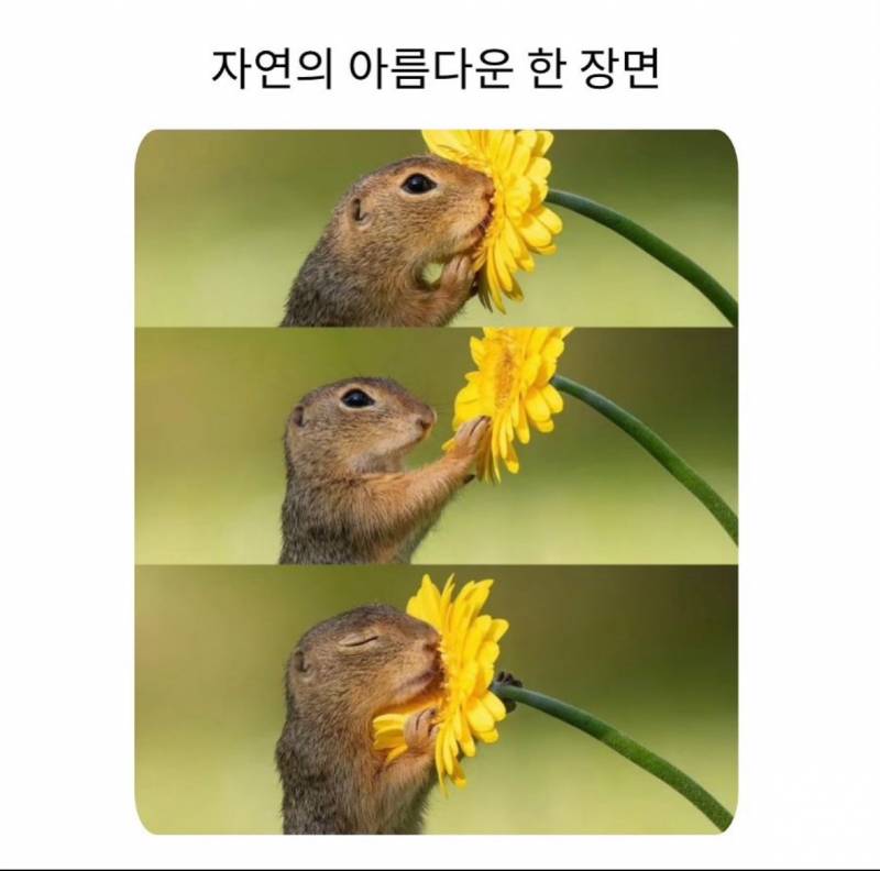 [잡담] 이거 브라 뭐가 잘못된거야??? (사진ㅇ) | 인스티즈