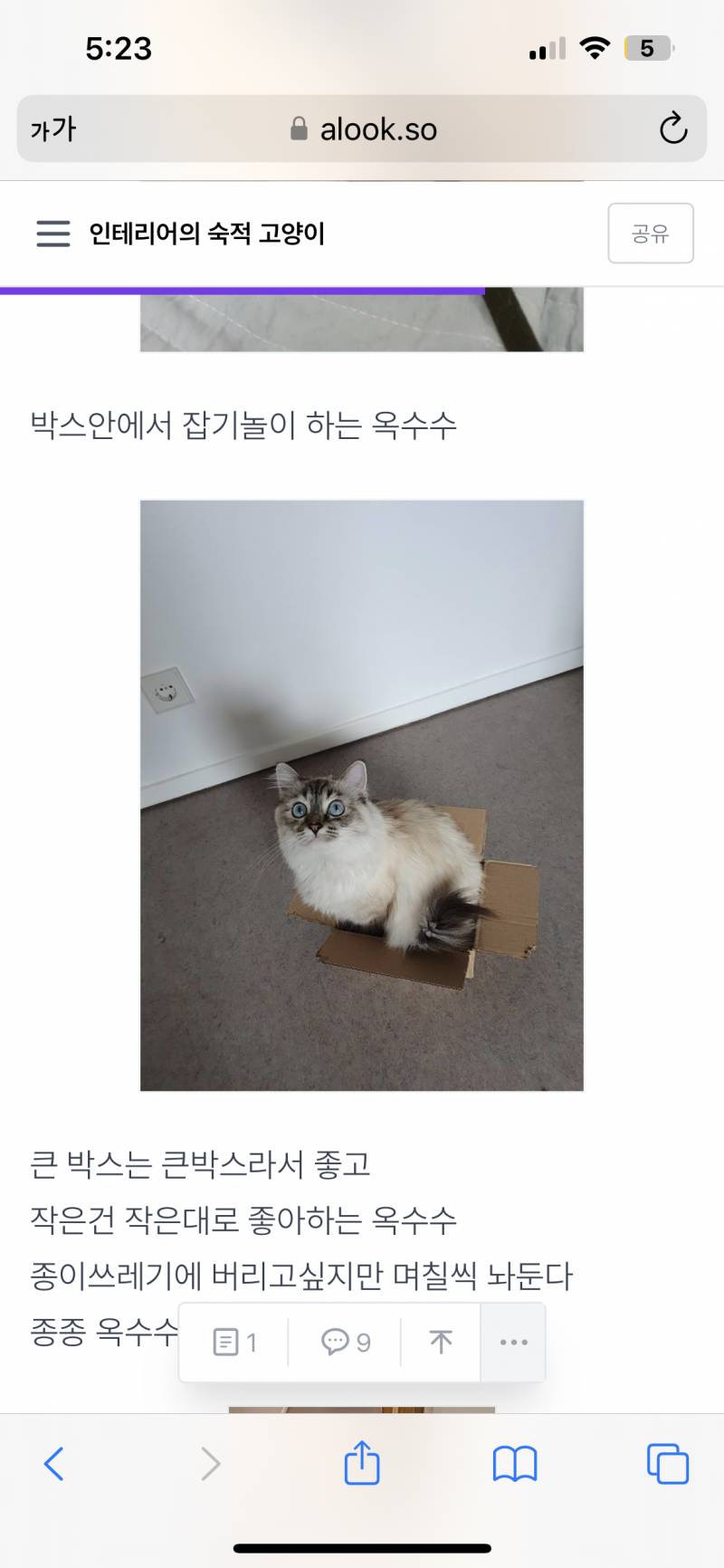 [잡담] 사회 초년생 직장인 고양이 키우고싶다.... | 인스티즈