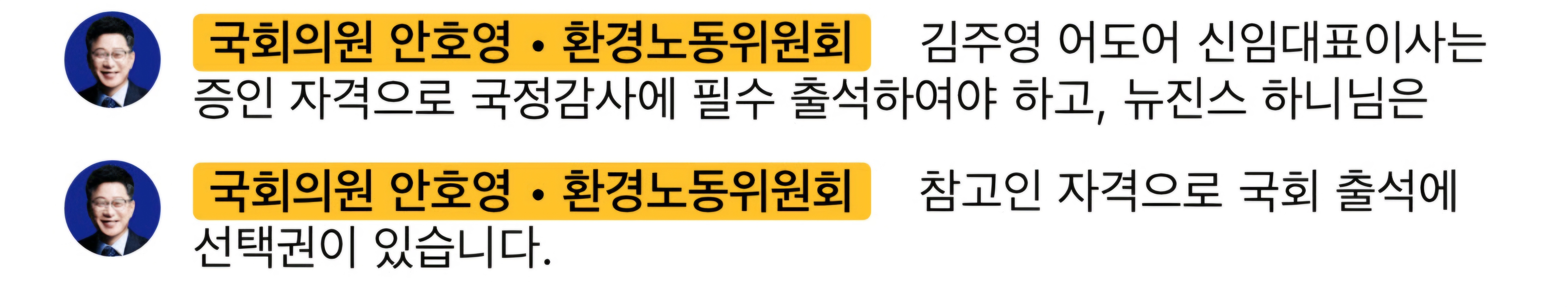 [정보/소식] 안호영 의원 국정감사에 어도어 대표 김주영, 뉴진스 하니 출석 요구 | 인스티즈