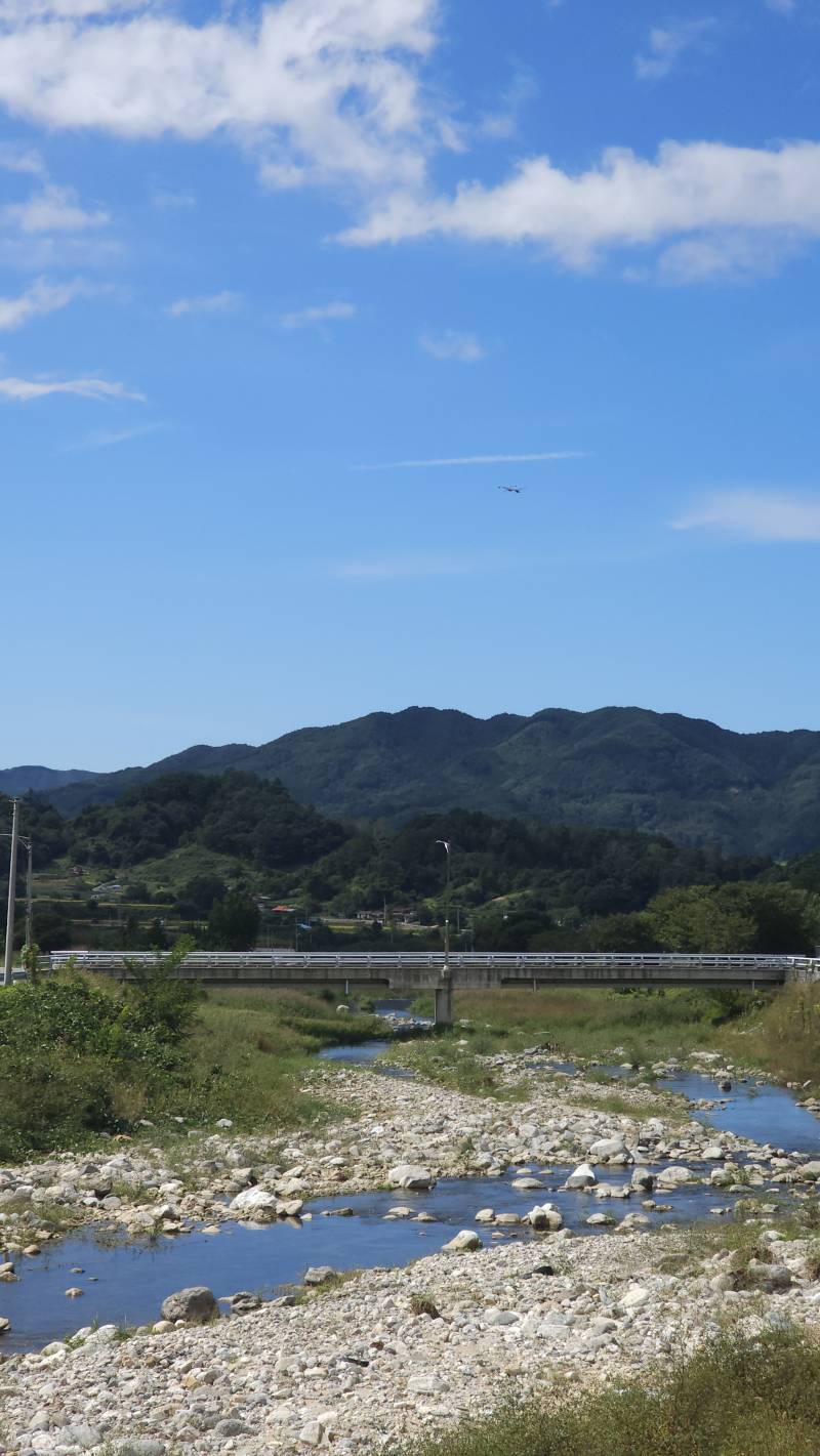 [잡담] 오늘 날씨 진짜 좋다☀️ | 인스티즈