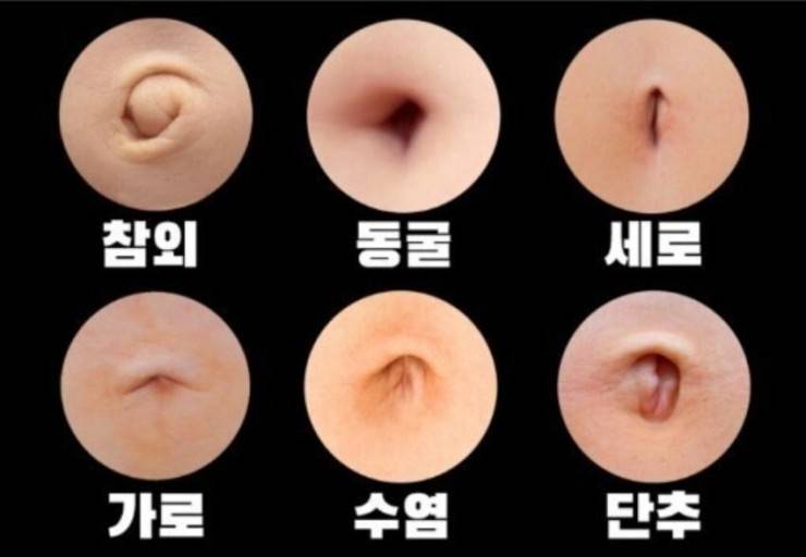 [잡담] 난 사람들이 배꼽냄새 얘기할 때마다 나는 냄새가 전혀 안 나서 이해를 못했거든?? 근데 그 이유가 | 인스티즈