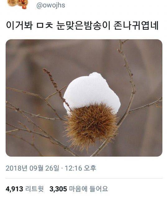 [잡담] 트위터 좋아요 모음 14 | 인스티즈