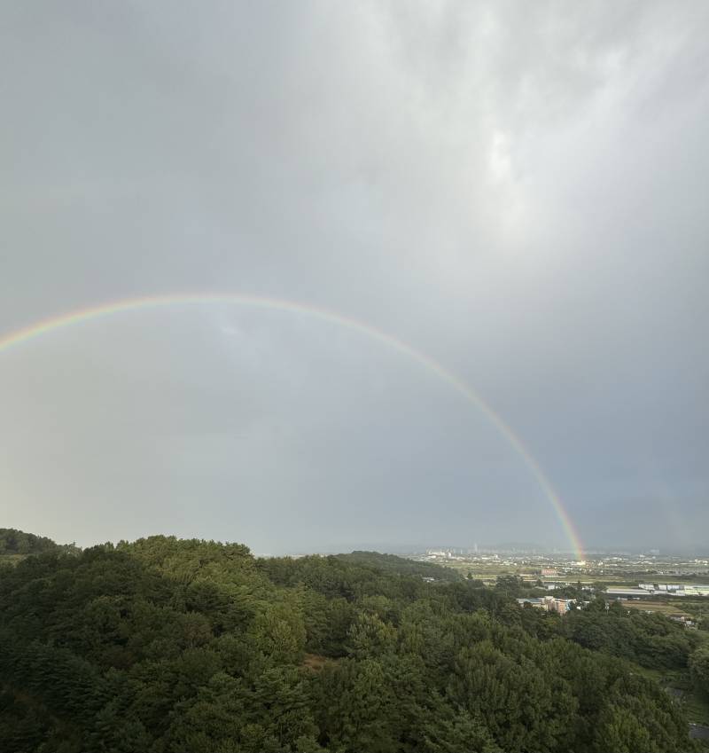 [잡담] 무지개 첨 보는데 너무 예쁘다 ㅎㅎ | 인스티즈