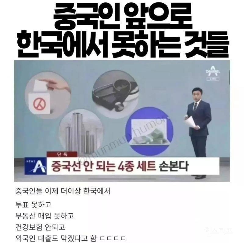 중국인들 앞으로 한국에서 못하는 것들.jpg | 인스티즈