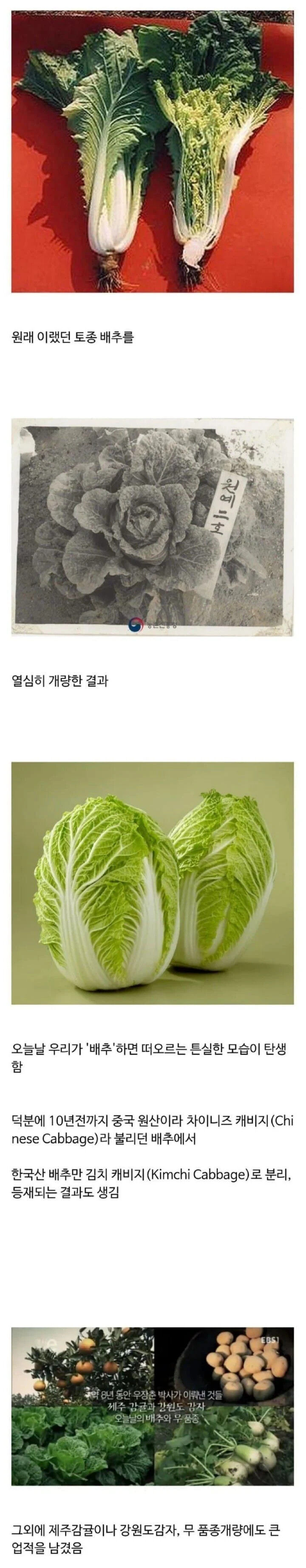 농학자 우장춘 박사님의 업적.jpg | 인스티즈