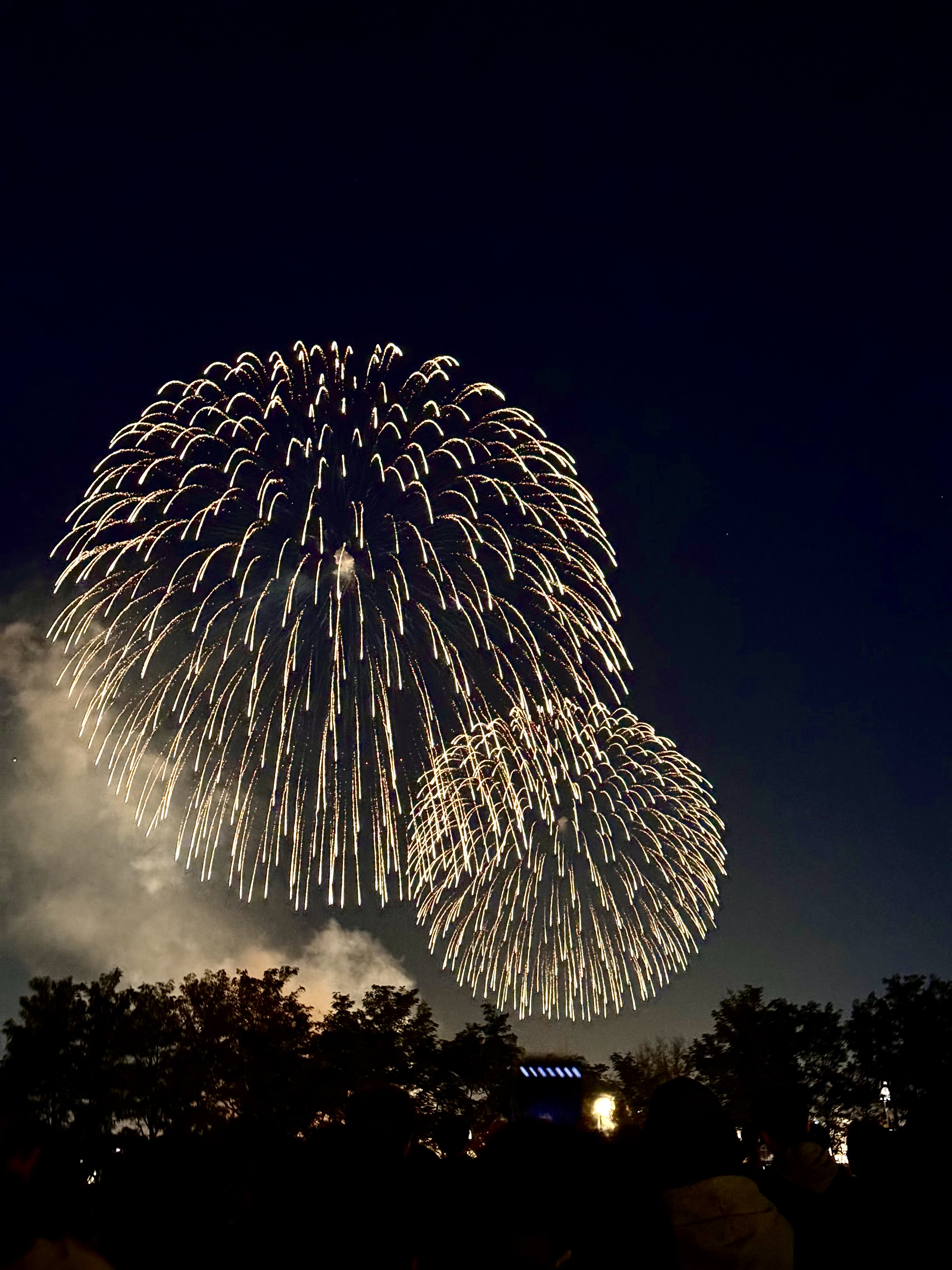 [잡담] 오늘 찍은 불꽃 사진🎇✨🎆 | 인스티즈