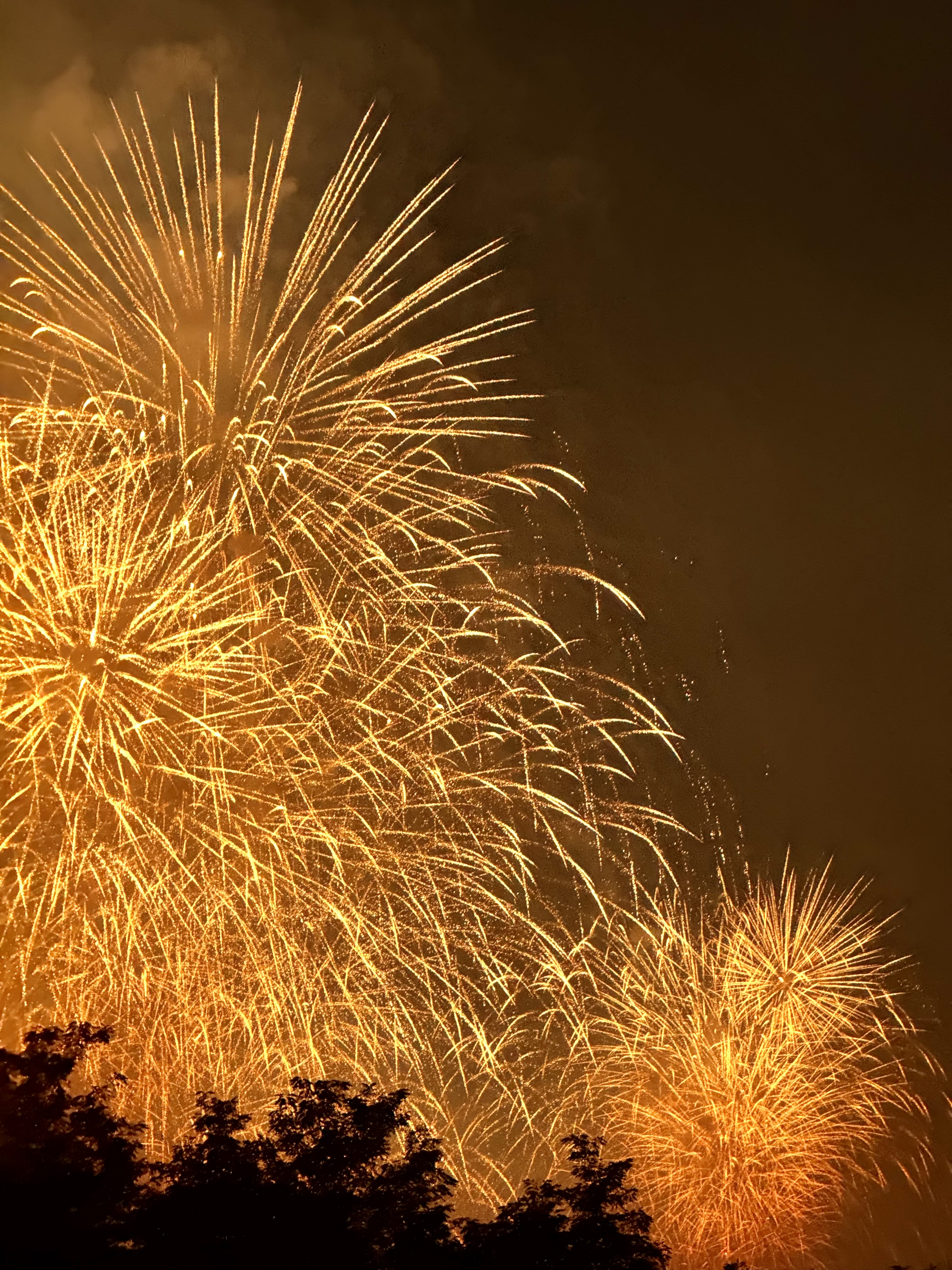 [잡담] 오늘 찍은 불꽃 사진🎇✨🎆 | 인스티즈