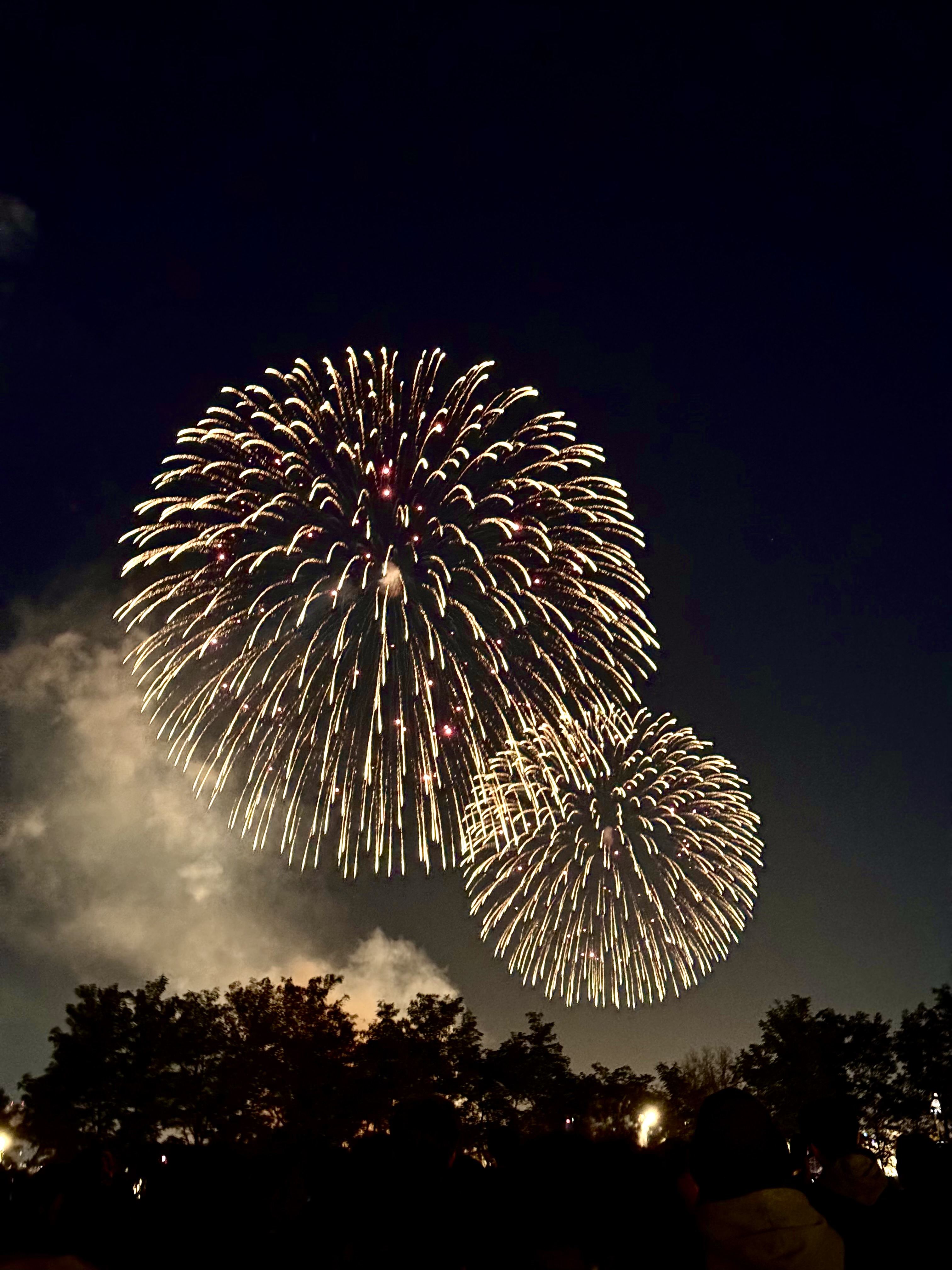 [잡담] 오늘 찍은 불꽃 사진🎇✨🎆 | 인스티즈