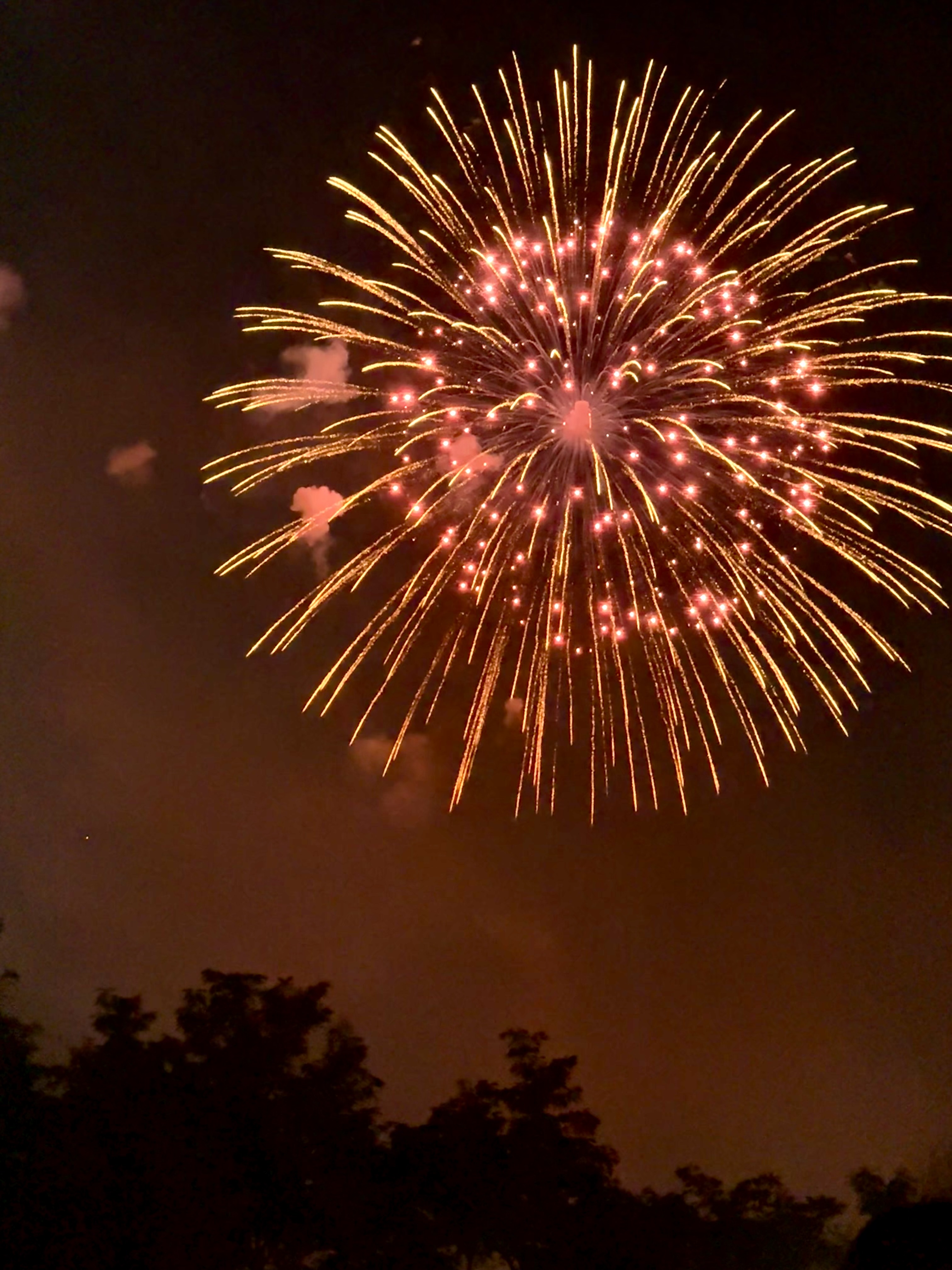 [잡담] 오늘 찍은 불꽃 사진🎇✨🎆 | 인스티즈