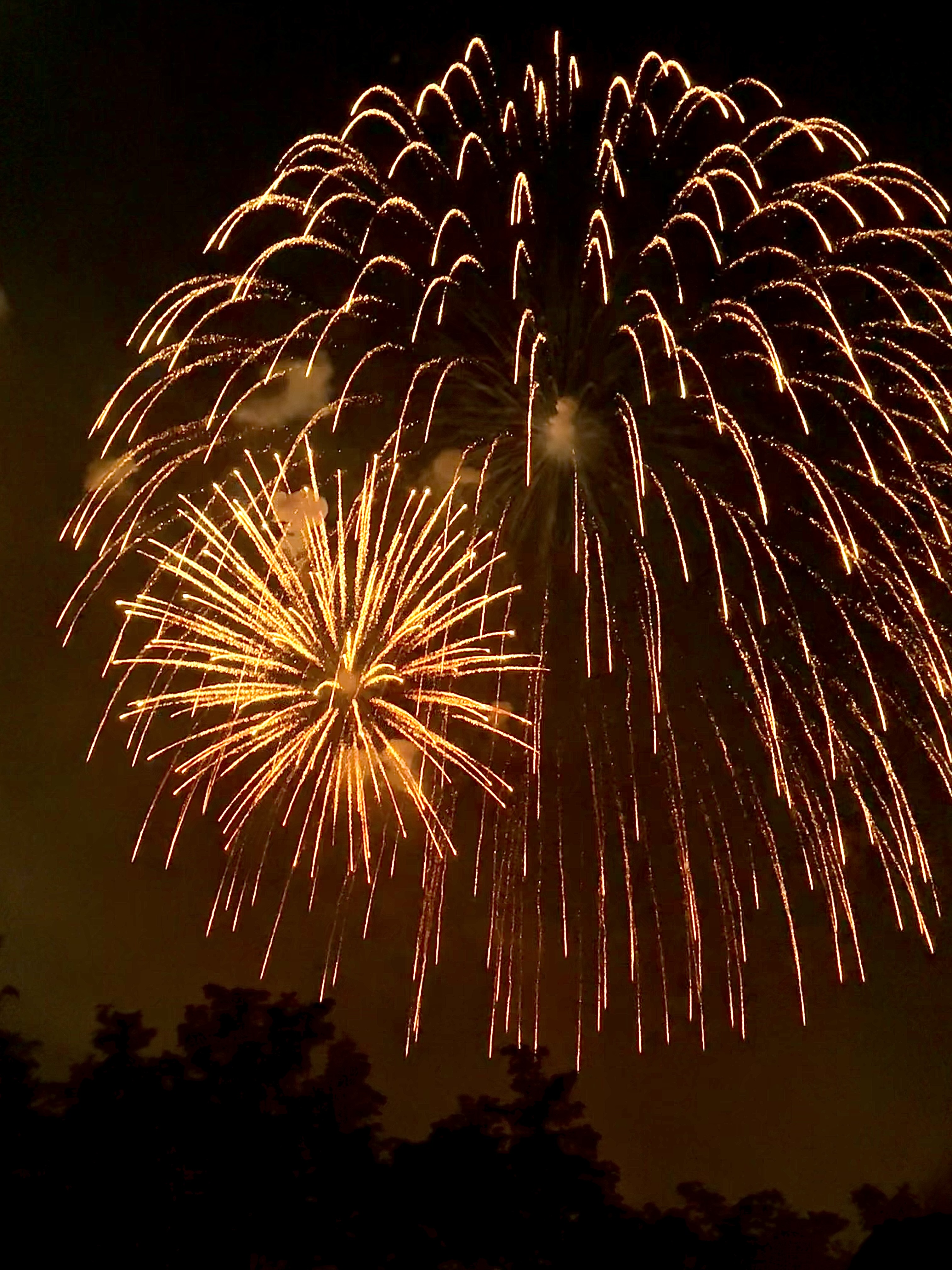 [잡담] 오늘 찍은 불꽃 사진🎇✨🎆 | 인스티즈